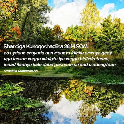Picture 02 - Sharciga Kunoqoshadiisa 28:14 SOM - oo aydaan erayada aan maanta idinku amrayo gees - Bible Verse Picture