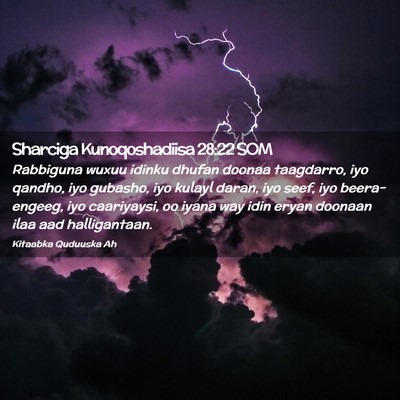 Picture 02 - Sharciga Kunoqoshadiisa 28:22 SOM - Rabbiguna wuxuu idinku dhufan doonaa taagdarro, - Bible Verse Picture