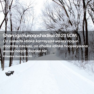 Picture 02 - Sharciga Kunoqoshadiisa 28:23 SOM - Oo samada idinka korraysaa waxay noqon doontaa - Bible Verse Picture