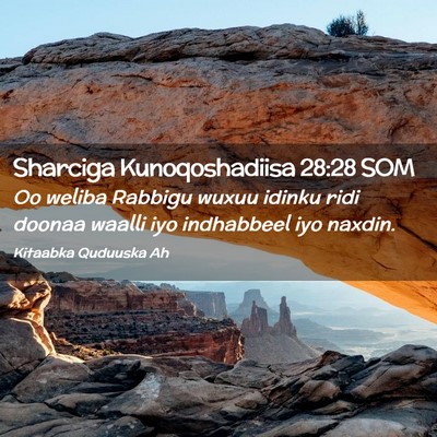Picture 02 - Sharciga Kunoqoshadiisa 28:28 SOM - Oo weliba Rabbigu wuxuu idinku ridi doonaa waalli - Bible Verse Picture