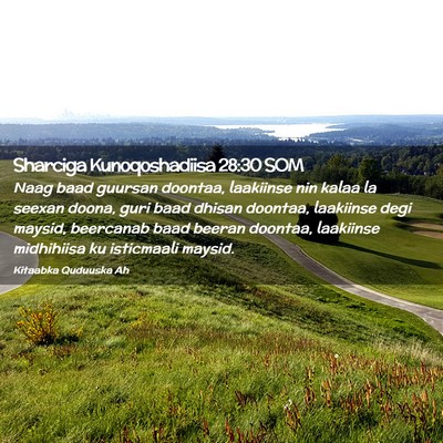 Picture 02 - Sharciga Kunoqoshadiisa 28:30 SOM - Naag baad guursan doontaa, laakiinse nin kalaa la - Bible Verse Picture