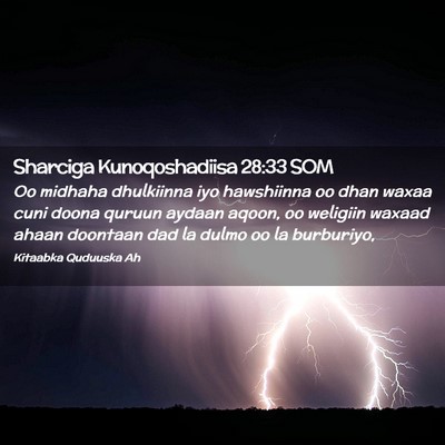 Picture 02 - Sharciga Kunoqoshadiisa 28:33 SOM - Oo midhaha dhulkiinna iyo hawshiinna oo dhan - Bible Verse Picture