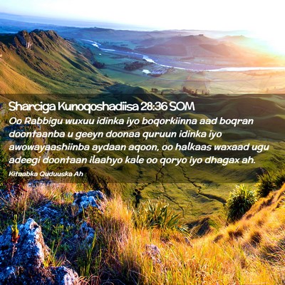 Picture 02 - Sharciga Kunoqoshadiisa 28:36 SOM - Oo Rabbigu wuxuu idinka iyo boqorkiinna aad - Bible Verse Picture