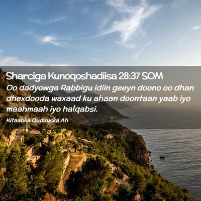 Picture 02 - Sharciga Kunoqoshadiisa 28:37 SOM - Oo dadyowga Rabbigu idiin geeyn doono oo dhan - Bible Verse Picture