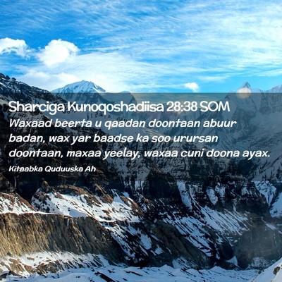 Picture 02 - Sharciga Kunoqoshadiisa 28:38 SOM - Waxaad beerta u qaadan doontaan abuur badan, wax - Bible Verse Picture