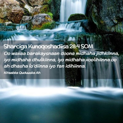Picture 02 - Sharciga Kunoqoshadiisa 28:4 SOM - Oo waxaa barakaysnaan doona midhaha jidhkiinna, - Bible Verse Picture