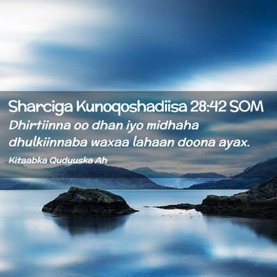 Picture 02 - Sharciga Kunoqoshadiisa 28:42 SOM - Dhirtiinna oo dhan iyo midhaha dhulkiinnaba waxaa - Bible Verse Picture