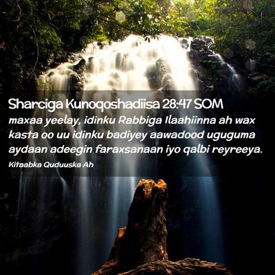 Picture 02 - Sharciga Kunoqoshadiisa 28:47 SOM - maxaa yeelay, idinku Rabbiga Ilaahiinna ah wax - Bible Verse Picture