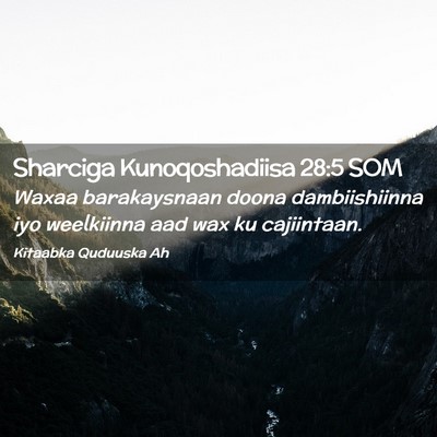 Picture 02 - Sharciga Kunoqoshadiisa 28:5 SOM - Waxaa barakaysnaan doona dambiishiinna iyo - Bible Verse Picture