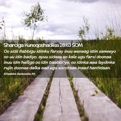 Picture 02 - Sharciga Kunoqoshadiisa 28:63 SOM - Oo sidii Rabbigu idiinku farxay inuu wanaag idiin - Bible Verse Picture