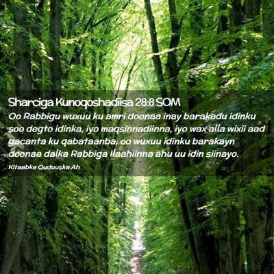 Picture 02 - Sharciga Kunoqoshadiisa 28:8 SOM - Oo Rabbigu wuxuu ku amri doonaa inay barakadu - Bible Verse Picture