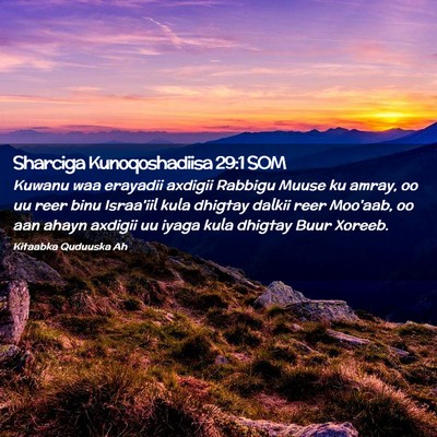 Picture 02 - Sharciga Kunoqoshadiisa 29:1 SOM - Kuwanu waa erayadii axdigii Rabbigu Muuse ku - Bible Verse Picture