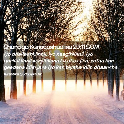 Picture 02 - Sharciga Kunoqoshadiisa 29:11 SOM - iyo dhallaankiinnii, iyo naagihiinnii, iyo - Bible Verse Picture