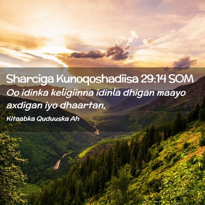 Picture 02 - Sharciga Kunoqoshadiisa 29:14 SOM - Oo idinka keligiinna idinla dhigan maayo axdigan - Bible Verse Picture