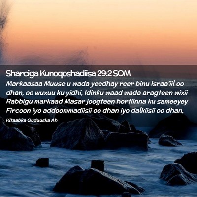Picture 02 - Sharciga Kunoqoshadiisa 29:2 SOM - Markaasaa Muuse u wada yeedhay reer binu - Bible Verse Picture