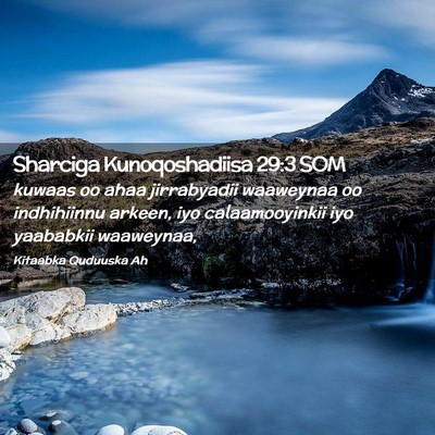 Picture 02 - Sharciga Kunoqoshadiisa 29:3 SOM - kuwaas oo ahaa jirrabyadii waaweynaa oo - Bible Verse Picture