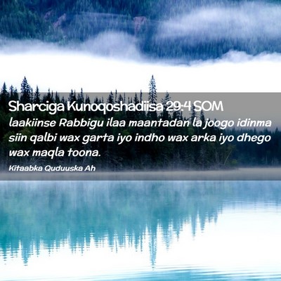 Picture 02 - Sharciga Kunoqoshadiisa 29:4 SOM - laakiinse Rabbigu ilaa maantadan la joogo idinma - Bible Verse Picture
