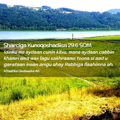 Picture 02 - Sharciga Kunoqoshadiisa 29:6 SOM - Idinku ma aydaan cunin kibis, mana aydaan cabbin - Bible Verse Picture