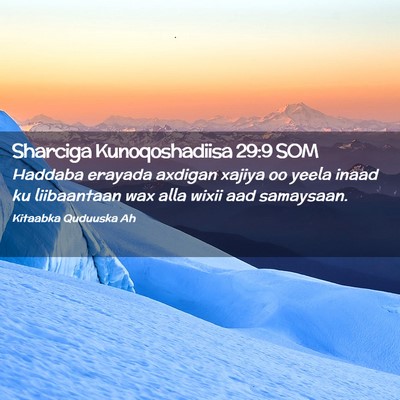 Picture 02 - Sharciga Kunoqoshadiisa 29:9 SOM - Haddaba erayada axdigan xajiya oo yeela inaad ku - Bible Verse Picture