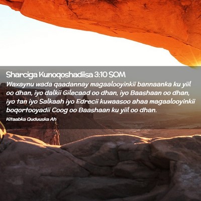 Picture 02 - Sharciga Kunoqoshadiisa 3:10 SOM - Waxaynu wada qaadannay magaalooyinkii bannaanka - Bible Verse Picture
