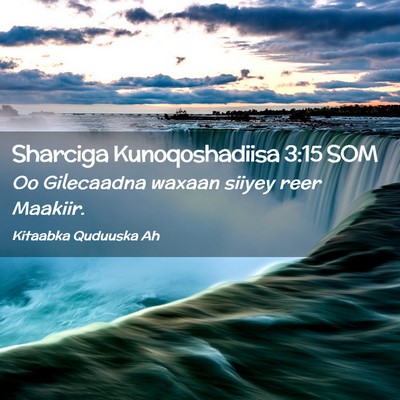 Picture 02 - Sharciga Kunoqoshadiisa 3:15 SOM - Oo Gilecaadna waxaan siiyey reer - Bible Verse Picture