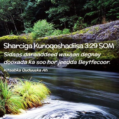 Picture 02 - Sharciga Kunoqoshadiisa 3:29 SOM - Sidaas daraaddeed waxaan degnay dooxada ka soo - Bible Verse Picture