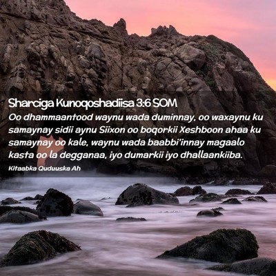 Picture 02 - Sharciga Kunoqoshadiisa 3:6 SOM - Oo dhammaantood waynu wada duminnay, oo waxaynu - Bible Verse Picture