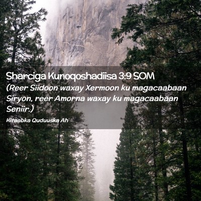 Picture 02 - Sharciga Kunoqoshadiisa 3:9 SOM - (Reer Siidoon waxay Xermoon ku magacaabaan - Bible Verse Picture