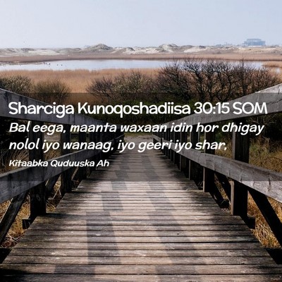 Picture 02 - Sharciga Kunoqoshadiisa 30:15 SOM - Bal eega, maanta waxaan idin hor dhigay nolol iyo - Bible Verse Picture