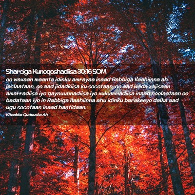 Picture 02 - Sharciga Kunoqoshadiisa 30:16 SOM - oo waxaan maanta idinku amrayaa inaad Rabbiga - Bible Verse Picture
