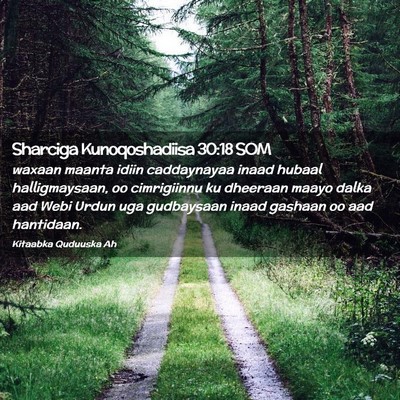 Picture 02 - Sharciga Kunoqoshadiisa 30:18 SOM - waxaan maanta idiin caddaynayaa inaad hubaal - Bible Verse Picture