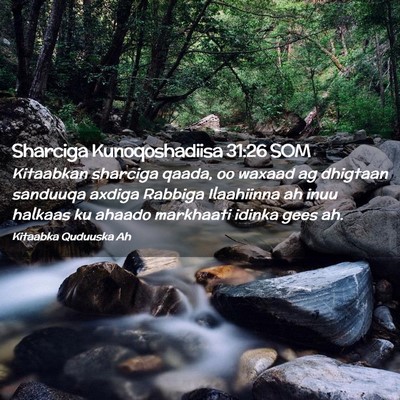 Picture 02 - Sharciga Kunoqoshadiisa 31:26 SOM - Kitaabkan sharciga qaada, oo waxaad ag dhigtaan - Bible Verse Picture