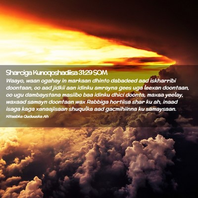 Picture 02 - Sharciga Kunoqoshadiisa 31:29 SOM - Waayo, waan ogahay in markaan dhinto dabadeed aad - Bible Verse Picture