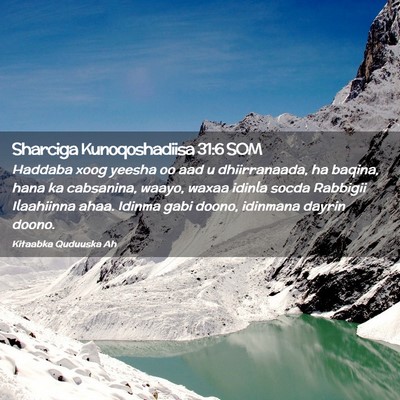 Picture 02 - Sharciga Kunoqoshadiisa 31:6 SOM - Haddaba xoog yeesha oo aad u dhiirranaada, ha - Bible Verse Picture