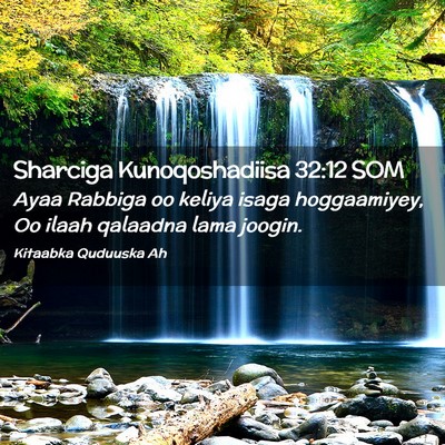 Picture 02 - Sharciga Kunoqoshadiisa 32:12 SOM - Ayaa Rabbiga oo keliya isaga hoggaamiyey, Oo - Bible Verse Picture