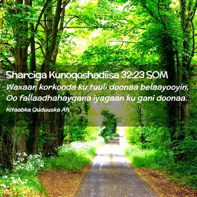 Picture 02 - Sharciga Kunoqoshadiisa 32:23 SOM - Waxaan korkooda ku tuuli doonaa belaayooyin, Oo - Bible Verse Picture