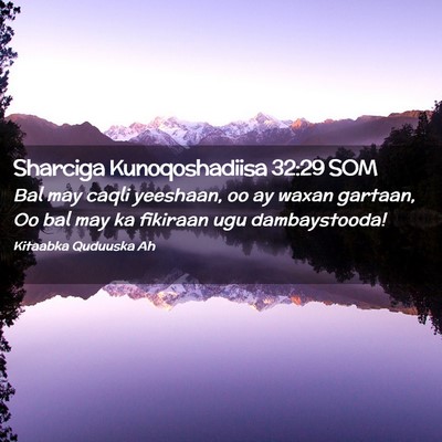 Picture 02 - Sharciga Kunoqoshadiisa 32:29 SOM - Bal may caqli yeeshaan, oo ay waxan gartaan, Oo - Bible Verse Picture