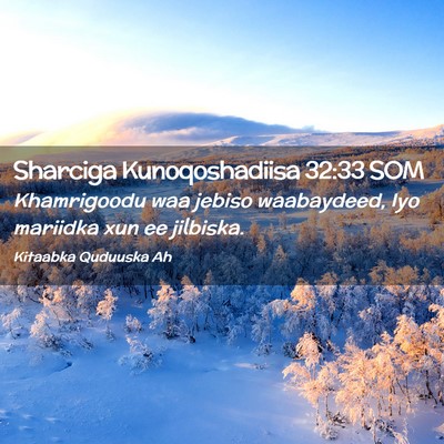 Picture 02 - Sharciga Kunoqoshadiisa 32:33 SOM - Khamrigoodu waa jebiso waabaydeed, Iyo mariidka - Bible Verse Picture