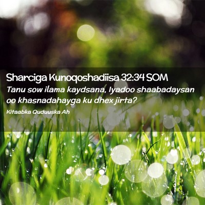 Picture 02 - Sharciga Kunoqoshadiisa 32:34 SOM - Tanu sow ilama kaydsana, Iyadoo shaabadaysan oo - Bible Verse Picture