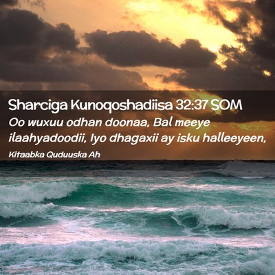 Picture 02 - Sharciga Kunoqoshadiisa 32:37 SOM - Oo wuxuu odhan doonaa, Bal meeye ilaahyadoodii, - Bible Verse Picture