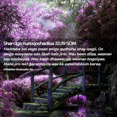 Picture 02 - Sharciga Kunoqoshadiisa 32:39 SOM - Haddaba bal eega inaan aniga qudhuhu ahay isagii, - Bible Verse Picture