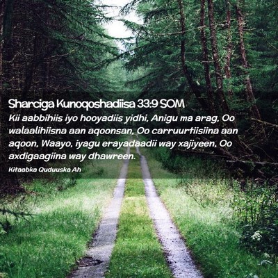 Picture 02 - Sharciga Kunoqoshadiisa 33:9 SOM - Kii aabbihiis iyo hooyadiis yidhi, Anigu ma arag, - Bible Verse Picture