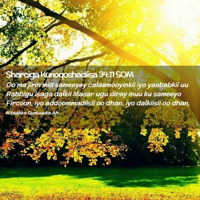 Picture 02 - Sharciga Kunoqoshadiisa 34:11 SOM - Oo ma jirin mid sameeyey calaamooyinkii iyo - Bible Verse Picture