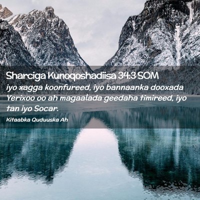 Picture 02 - Sharciga Kunoqoshadiisa 34:3 SOM - iyo xagga koonfureed, iyo bannaanka dooxada - Bible Verse Picture