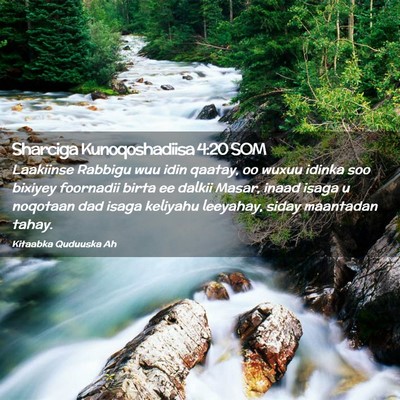 Picture 02 - Sharciga Kunoqoshadiisa 4:20 SOM - Laakiinse Rabbigu wuu idin qaatay, oo wuxuu - Bible Verse Picture