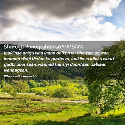 Picture 02 - Sharciga Kunoqoshadiisa 4:22 SOM - laakiinse anigu waa inaan dalkan ku dhintaa, oo - Bible Verse Picture