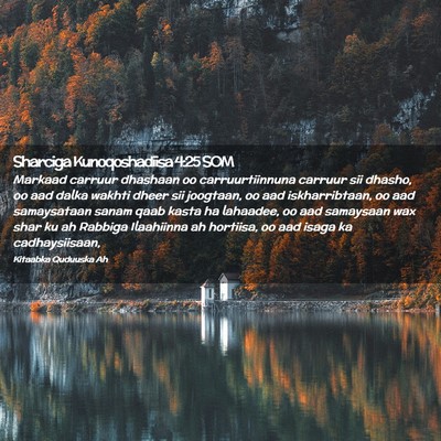 Picture 02 - Sharciga Kunoqoshadiisa 4:25 SOM - Markaad carruur dhashaan oo carruurtiinnuna - Bible Verse Picture