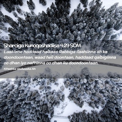 Picture 02 - Sharciga Kunoqoshadiisa 4:29 SOM - Laakiinse haddaad halkaas Rabbiga Ilaahiinna ah - Bible Verse Picture