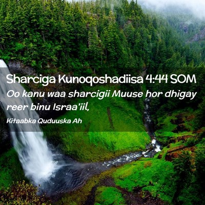 Picture 02 - Sharciga Kunoqoshadiisa 4:44 SOM - Oo kanu waa sharcigii Muuse hor dhigay reer binu - Bible Verse Picture