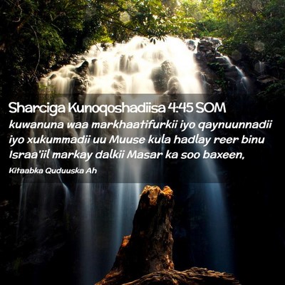 Picture 02 - Sharciga Kunoqoshadiisa 4:45 SOM - kuwanuna waa markhaatifurkii iyo qaynuunnadii iyo - Bible Verse Picture